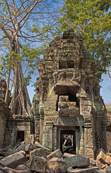 Khmer tower i djungeln på Ta Prohm webbplats — Stockfoto
