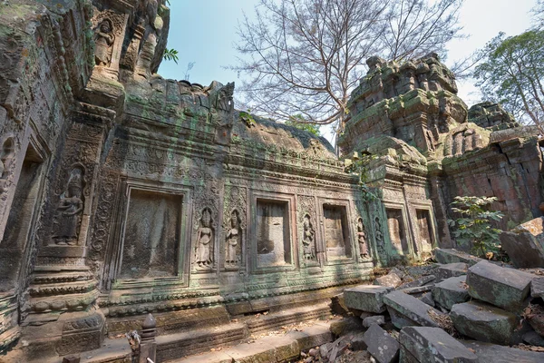 Sten tempel av antika Khmer kultur i ta prohm — Stockfoto