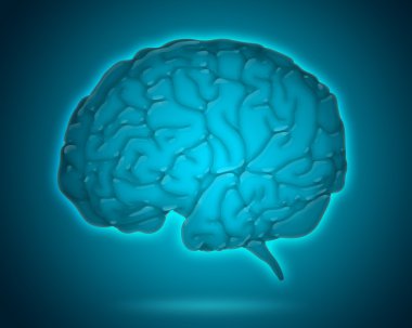Transparent brain model isolated on blue background clipart