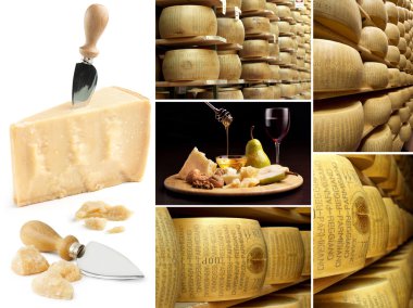 Collection of parmesan and wheels of cheese in a factory clipart