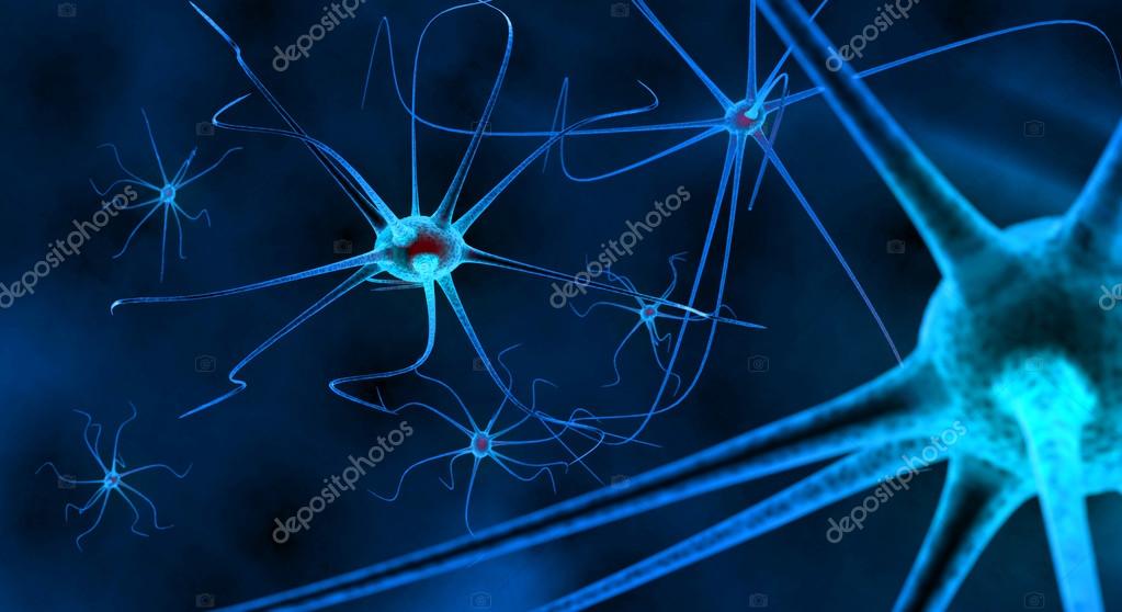 neurociencia #hashtag