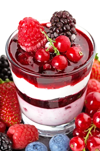 Layered dessert with a topping of mixed berries — Stock Photo, Image