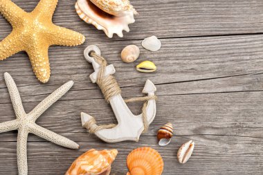 kabukları ahşap tahta üzerinde çapa ile yığını