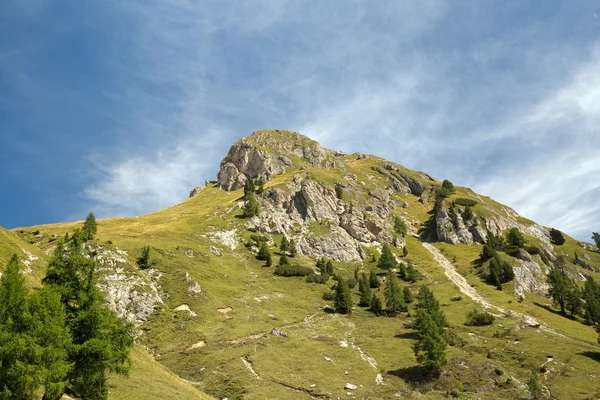 Alpine slope under a clear blue sky Royalty Free Stock Images