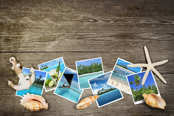 Foto tropischer Meere und Muscheln auf hölzernem Hintergrund — Stockfoto