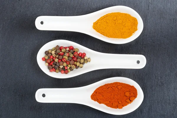 China spoons with assorted spices on slate board — Stock Photo, Image