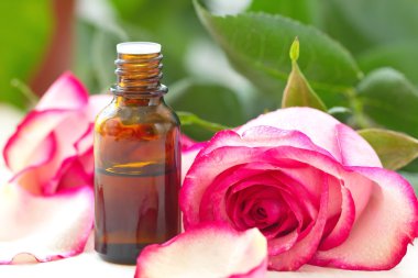 Spa ve sağlıklı yaşam. Temel aroma yağı gül.