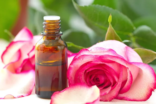 SPA and wellness. Rose essential aroma oil. — Stock Photo, Image