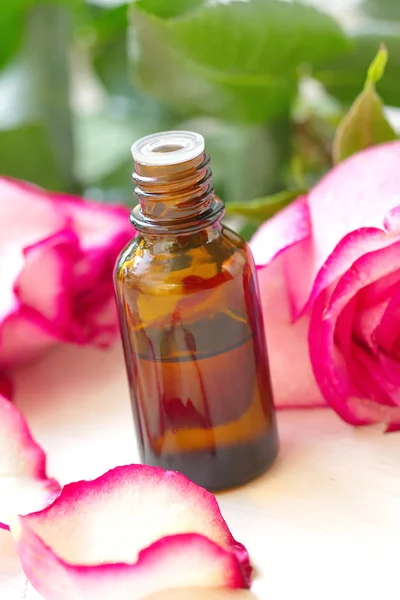 Rose essential aroma oil — Stock Photo, Image