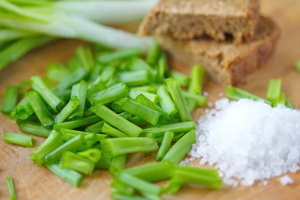 Spring onion, salt and rye bread — Stock Photo, Image