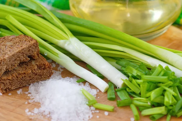 Spring onion, salt and rye bread — Stock Photo, Image