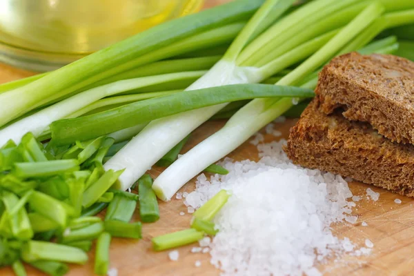 Spring onion, salt and rye bread — Stock Photo, Image