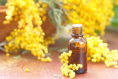 Mimoza temel aroma yağı