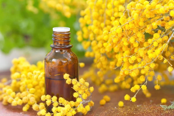 Ätherisches Aromaöl der Mimosen — Stockfoto