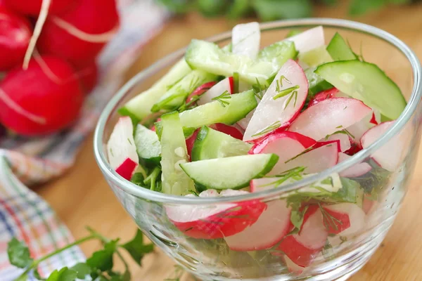 Ensalada fresca con rábanos, pepinos y aceite de oliva — Foto de Stock