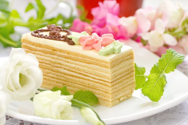 Kawałek ciasta z kremem — Zdjęcie stockowe