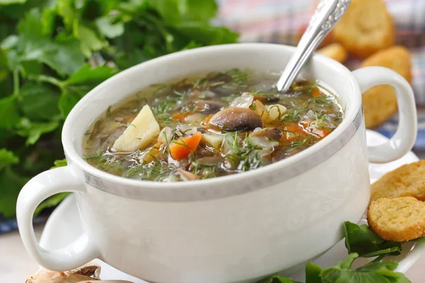 Sopa com cogumelos e legumes — Fotografia de Stock
