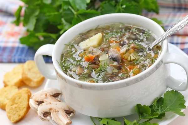 Soup with mushrooms and vegetables — Stock Photo, Image