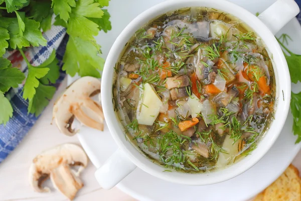 Soppa med svamp och grönsaker — Stockfoto