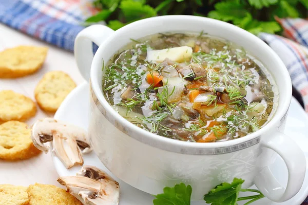 Sopa con champiñones y verduras —  Fotos de Stock