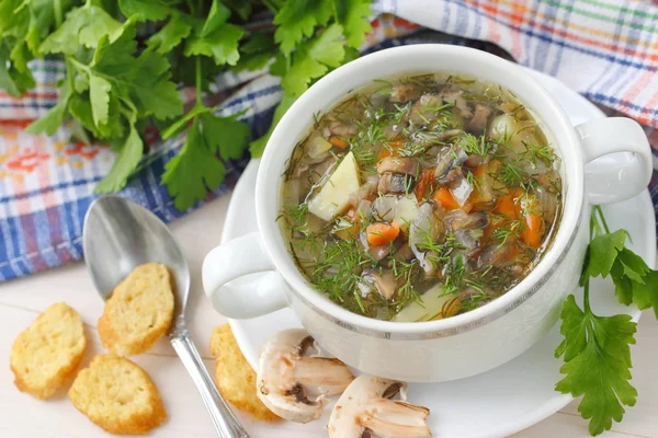 Sopa con champiñones y verduras —  Fotos de Stock