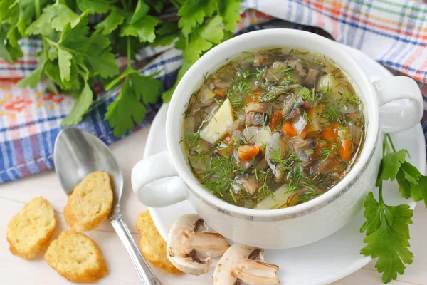 Soup with mushrooms and vegetables — Stock Photo, Image