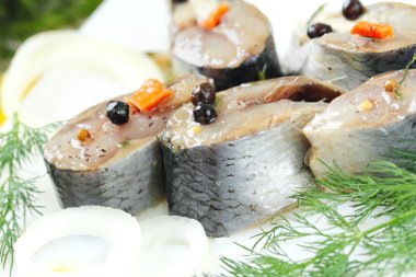 Petrol ve Marine tuzlanmış ringa