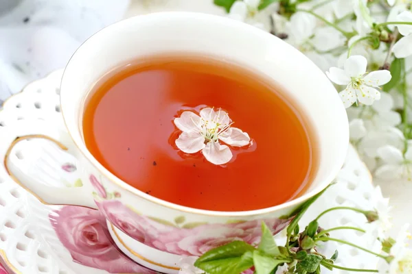 Jasmijn thee met jasmijn kruid bloem — Stockfoto