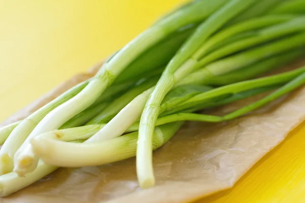 Spring onion on yellow background — Stock Photo, Image