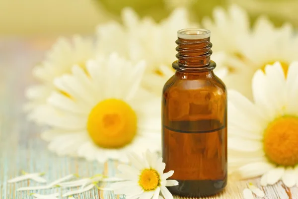 Chamomile essential aroma oil — Stock Photo, Image