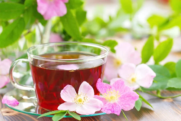 Taza de té y escaramujo — Foto de Stock