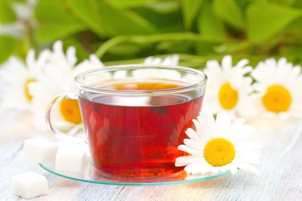 Taza de té y margarita — Foto de Stock