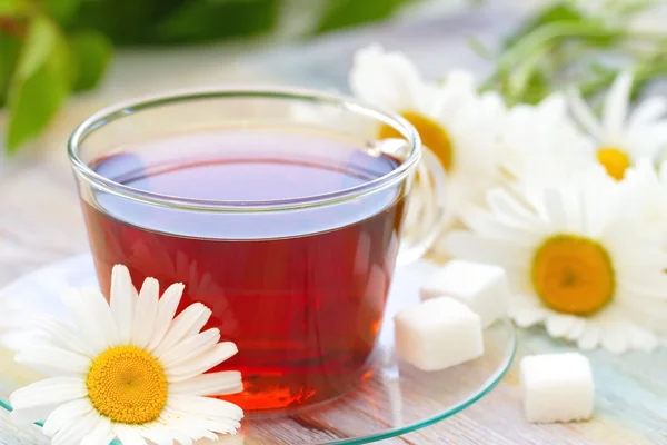 Taza de té y margarita — Foto de Stock