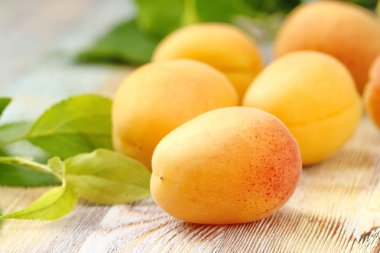 Masada olgun kayısılar var.