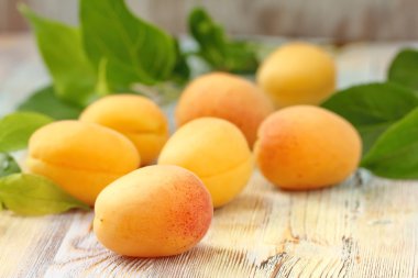 Masada olgun kayısılar var.