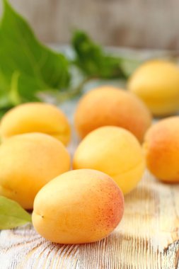 Masada olgun kayısılar var.