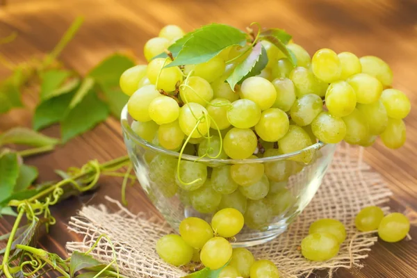 Зрелый жёлтый виноград — стоковое фото