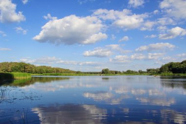 Güneşli bir yaz manzaraya