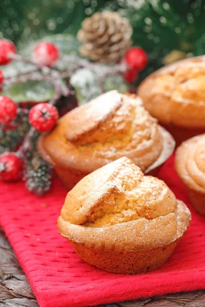 Muffins de Navidad cubierto de azúcar en polvo — Foto de Stock