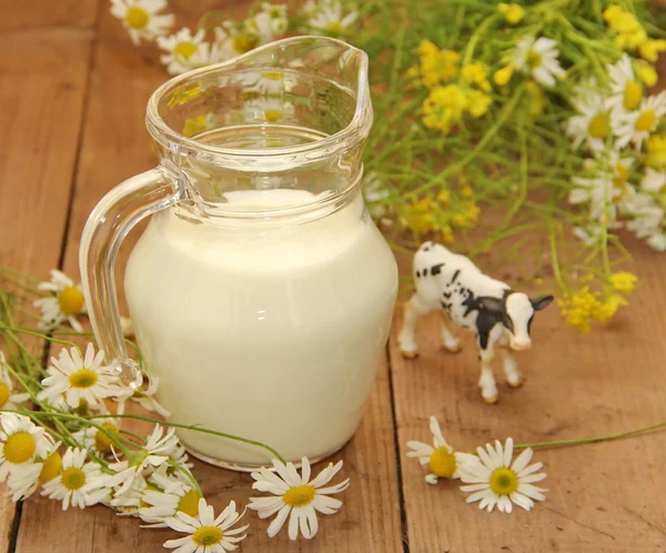 Melk in kruik — Stockfoto