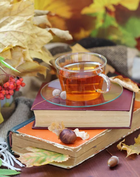 Zátiší s čajem, knih a podzimní listí — Stock fotografie