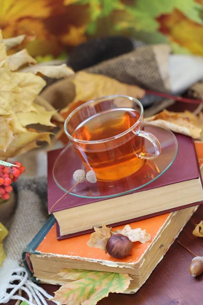 Zátiší s čajem, knih a podzimní listí — Stock fotografie