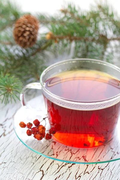 Xícara de chá no inverno — Fotografia de Stock