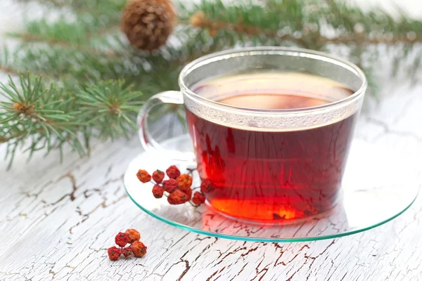 Tazza di tè in inverno — Foto Stock