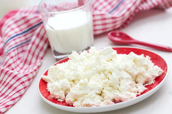 Frischer Quark und Milch — Stockfoto