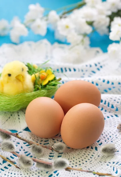 Postal de Pascua con pollo de Pascua y huevos — Foto de Stock