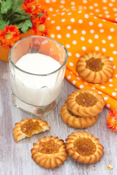 Mléko a soubory cookie — Stock fotografie