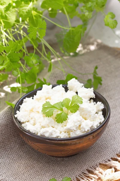 Fresh cottage cheese — Stock Photo, Image