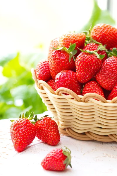 Fresas frescas de verano — Foto de Stock