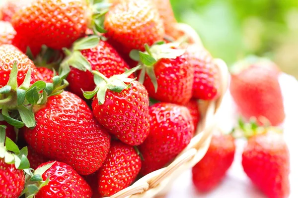 Fresas frescas de verano — Foto de Stock